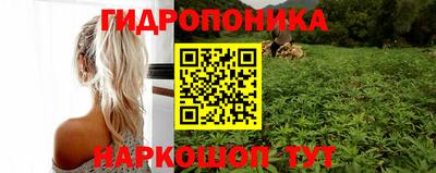 прущая мука Тара
