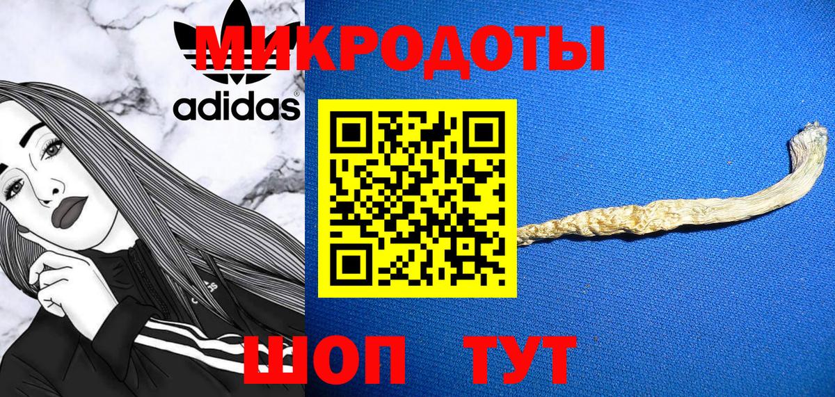 Галлюциногенные грибы прущие грибы Богородск