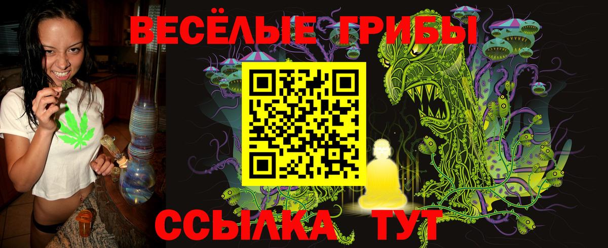 Галлюциногенные грибы Psilocybine cubensis  Галлюциногенные грибы Psilocybe  Вход с VPN  Богородск 